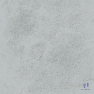 Gạch Taicera 60x60 G68848