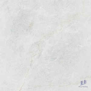 Gạch Taicera 60x60 GP68845