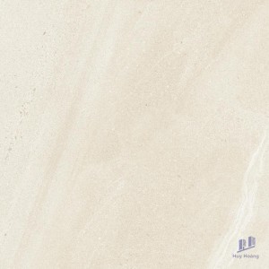 Gạch Taicera 60x60 G68062