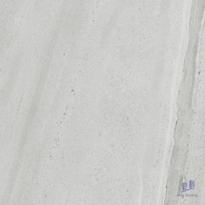 Gạch Taicera 60x60 G68068