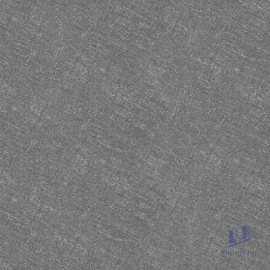 Gạch Taicera 60x60 G68058