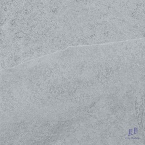 Gạch Taicera 60x60 G68MXGR