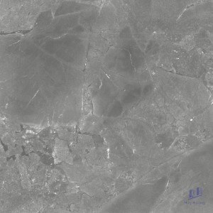 Gạch Taicera 60x60 GP68018