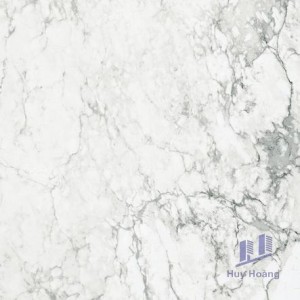 Gạch Taicera 60x60 GP68965