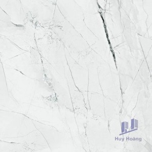 Gạch Taicera 60x60 GP68905