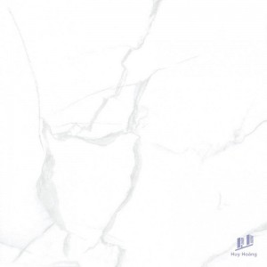 Gạch Taicera 60x60 GP68085