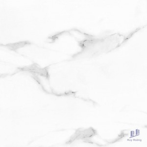 Gạch Taicera 60x60 GP68045