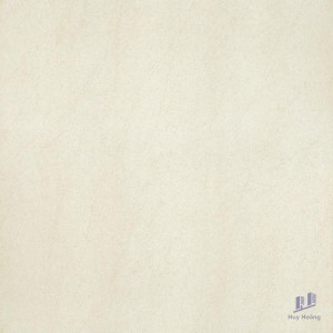 Gạch Taicera 60x60 G68913