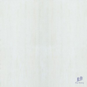 Gạch Taicera 60x60 G68935