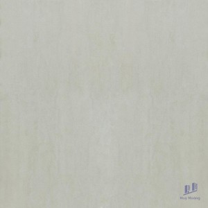 Gạch Taicera 60x60 G68938