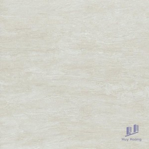 Gạch Taicera 60x60 G68982