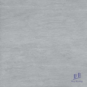 Gạch Taicera 60x60 G68987