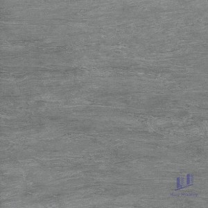 Gạch Taicera 60x60 G68988