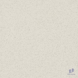 Gạch Taicera 60x60 G68005