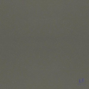 Gạch Taicera 60x60 G68008