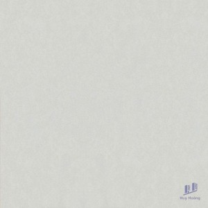 Gạch Taicera 60x60 G68025