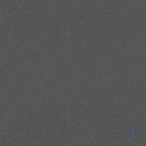 Gạch Taicera 60x60 G68029