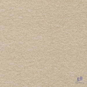 Gạch Taicera 60x60 G68522