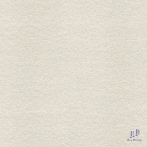 Gạch Taicera 60x60 G68525