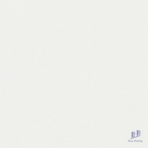 Gạch Taicera 60x60 P67615N