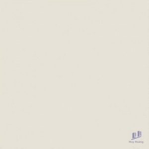 Gạch Taicera 60x60 P67625N