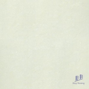 Gạch Taicera 60x60 P67703N