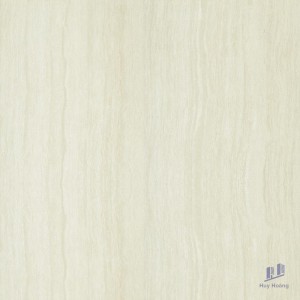 Gạch Taicera 60x60 P67202N