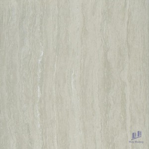 Gạch Taicera 60x60 P67208N