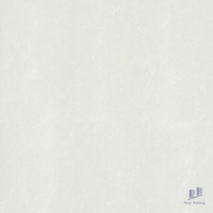 Gạch Taicera 60x60 P67762N