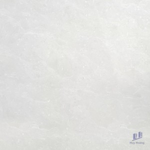 Gạch Taicera 60x60 P67662N