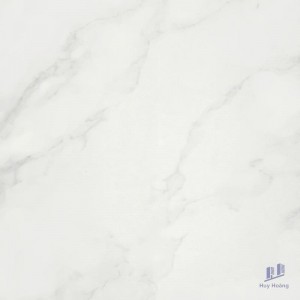 Gạch Taicera 60x60 P67418N