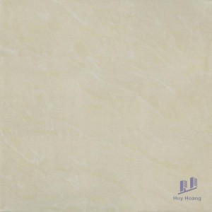 Gạch Taicera 60x60 P67543N