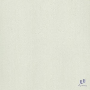 Gạch Taicera 60x60 P67312N