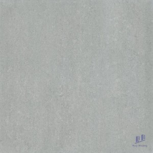 Gạch Taicera 60x60 P67318N