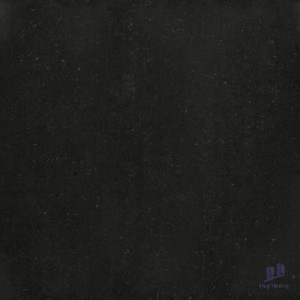 Gạch Taicera 60x60 P67319N