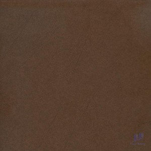 Gạch Taicera 60x60 G68911