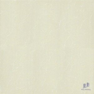 Gạch Taicera 80x80 P87763N