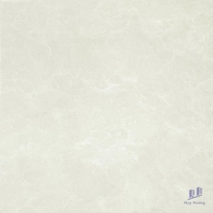 Gạch Taicera 80x80 P87663N