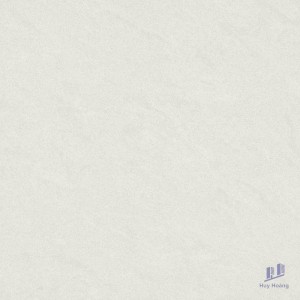 Gạch Taicera 80x80 P87542N