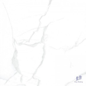 Gạch Taicera 80x80 G88085