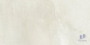 Gạch 298x600 mm Taicera G6373M2