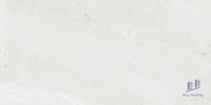 Gạch 298x600 mm Taicera G63065