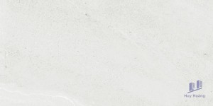 Gạch 298x600 mm Taicera GP63065