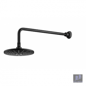 Bát sen mưa Cotto Z94#BL Gắn Tường Màu Đen