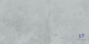 Gạch 298x600 mm Taicera G63848