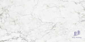 Gạch 298x600 mm Taicera GP63965