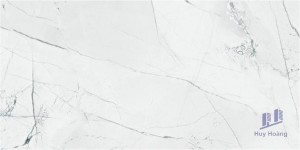 Gạch 298x600 mm Taicera GP63905