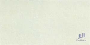 Gạch 298x600 mm Taicera PC600*298-703N