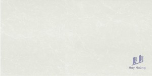 Gạch 298x600 mm Taicera PC600*298-762N