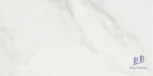 Gạch 298x600 mm Taicera PC600*298-418N